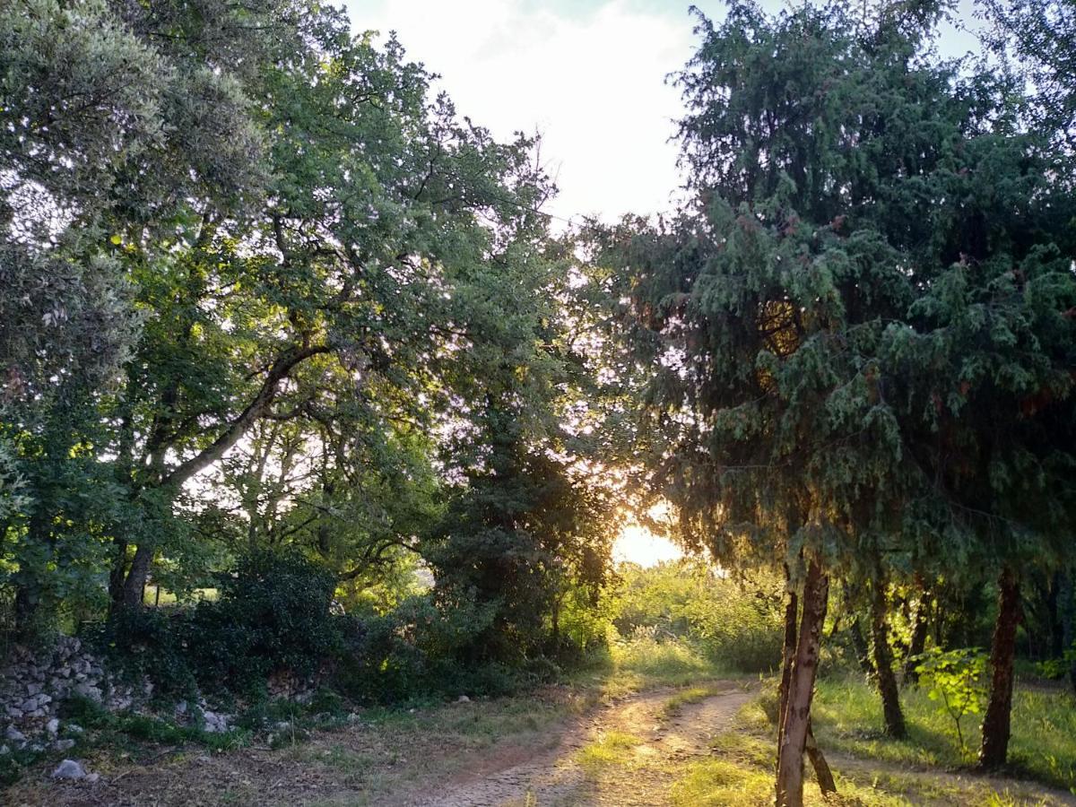 Attitudes Naturelles Labastide-de-Virac Kültér fotó