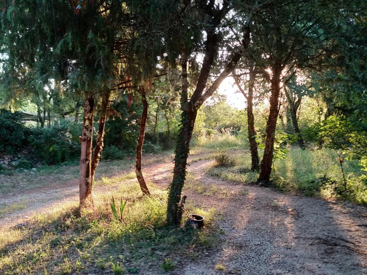 Attitudes Naturelles Labastide-de-Virac Kültér fotó